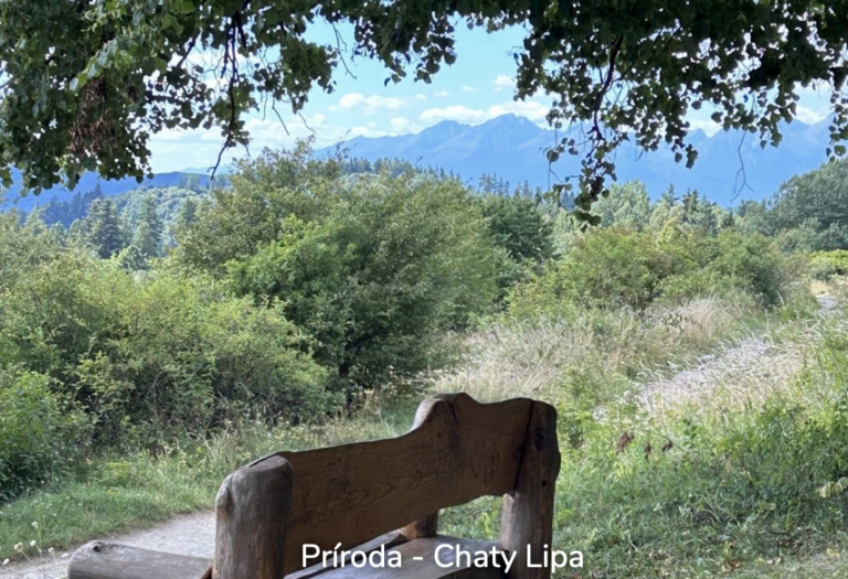 Snímka obrazovky 2026-03-20 o 16.12.22